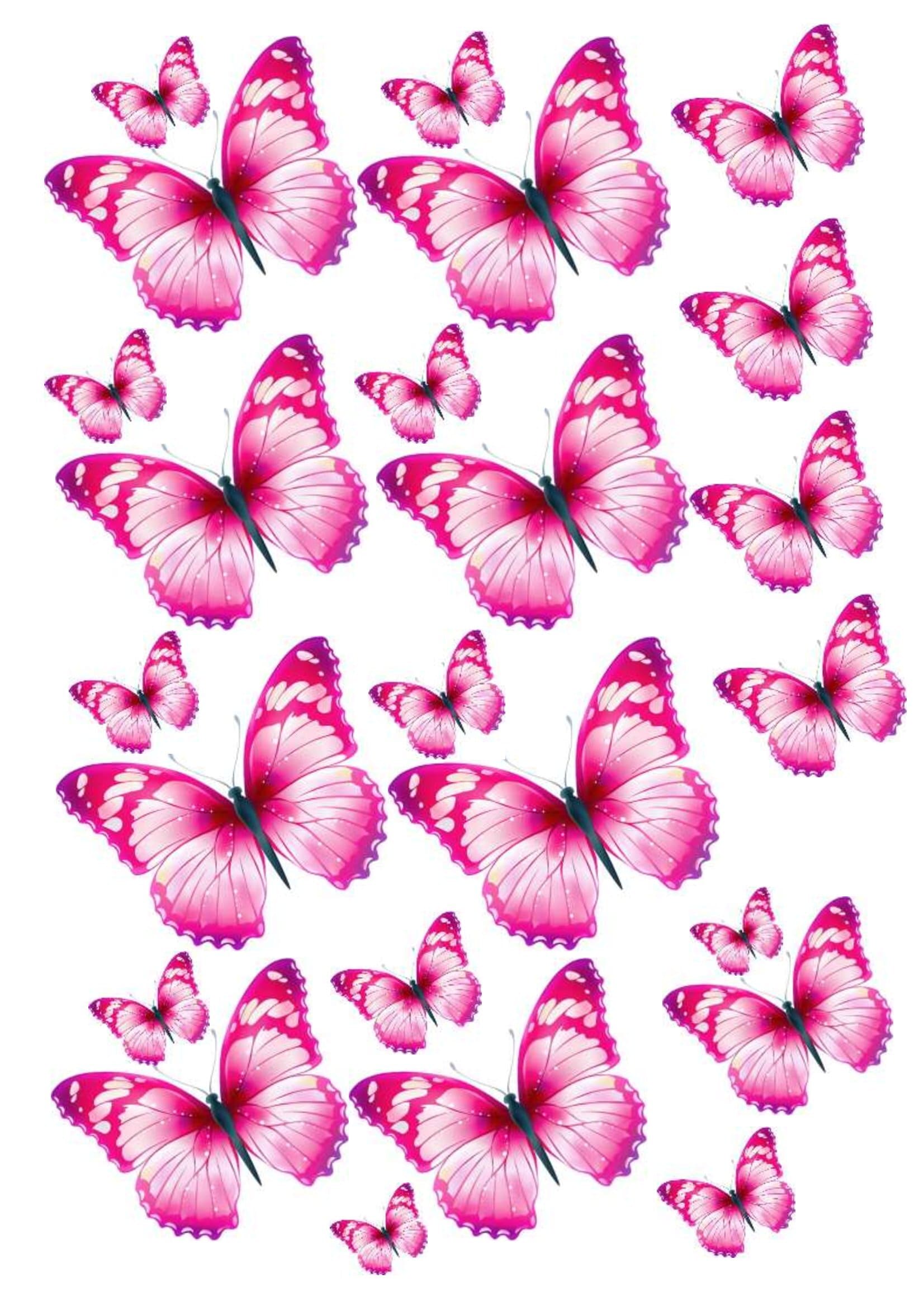 нарисованные бабочки розовые